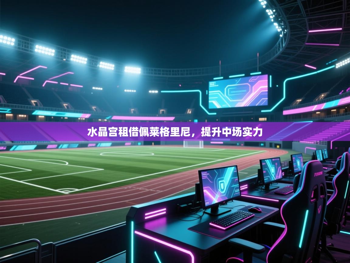 云开体育官网入口-水晶宫租借佩莱格里尼，提升中场实力  第4张