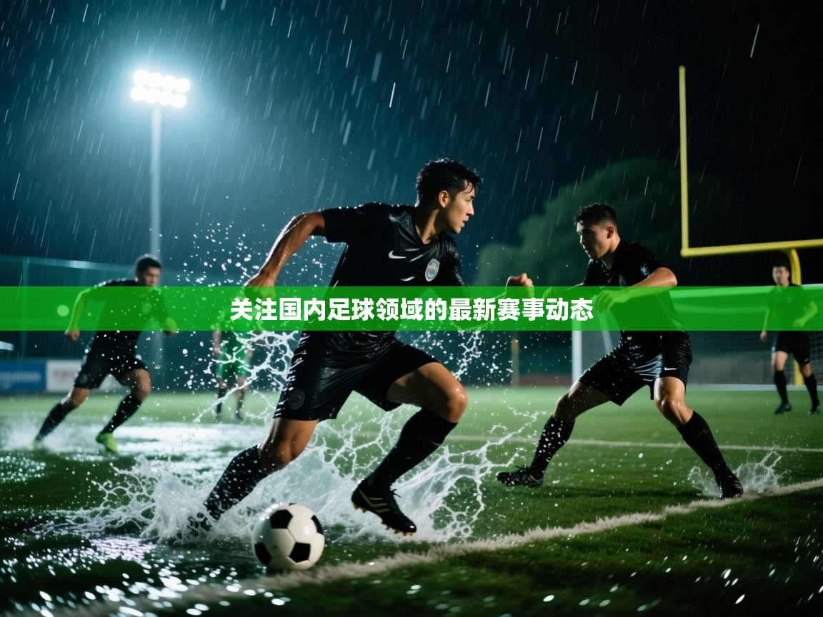 云开体育app网页版入口-关注国内足球领域的最新赛事动态  第1张