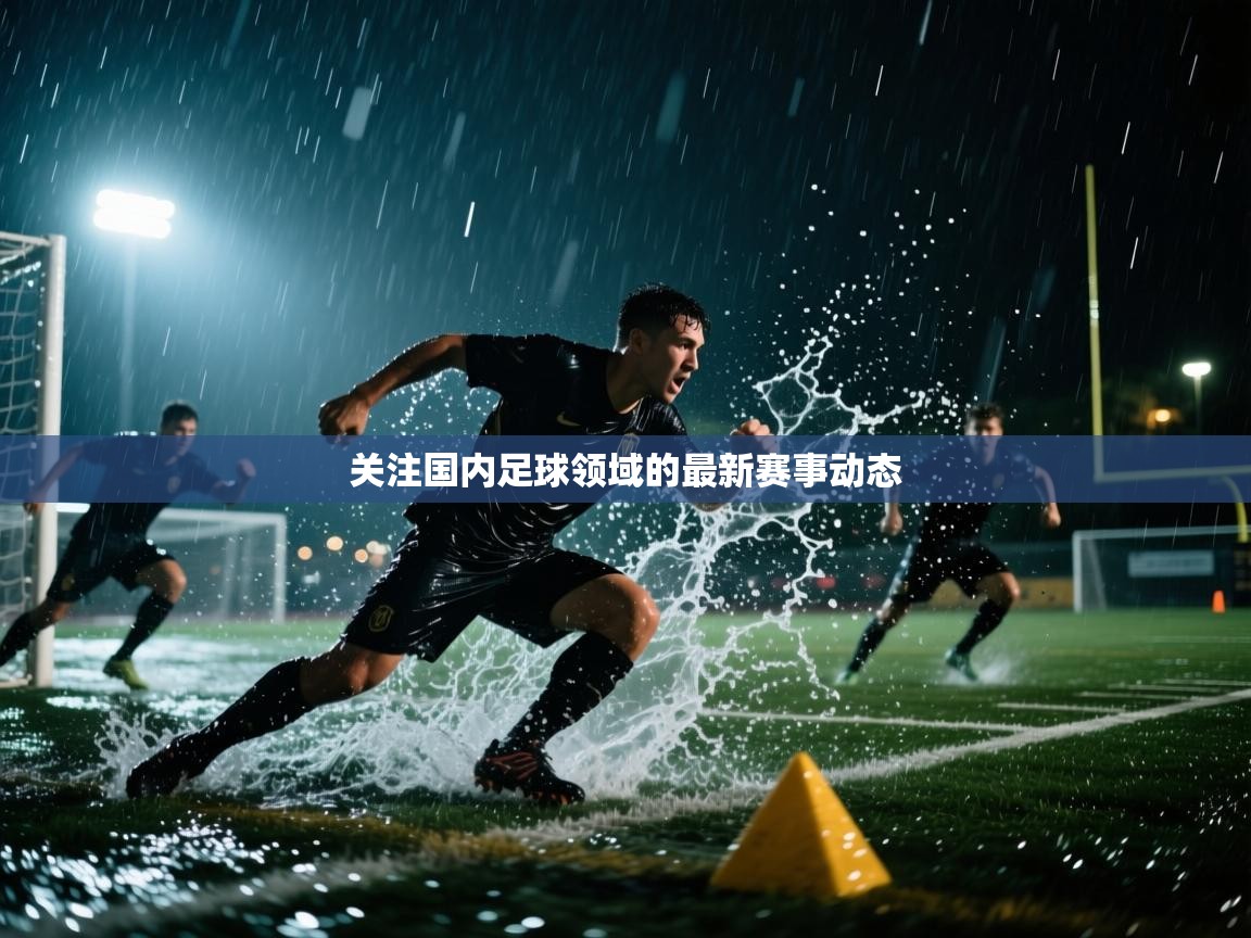 云开体育app网页版入口-关注国内足球领域的最新赛事动态  第2张