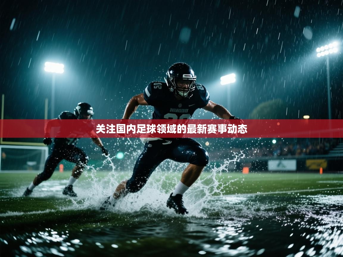 云开体育app网页版入口-关注国内足球领域的最新赛事动态  第3张