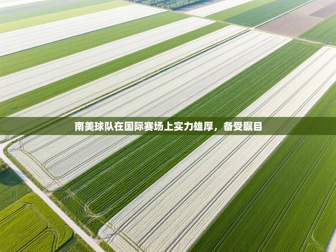 开云体育网络异常修复-南美球队在国际赛场上实力雄厚，备受瞩目  第3张