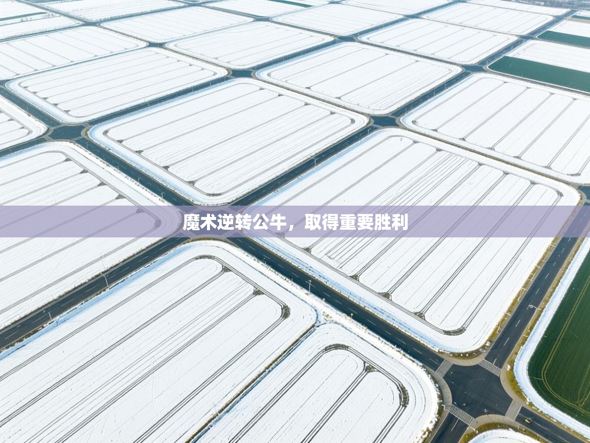 开云体育旧版下载地址-魔术逆转公牛，取得重要胜利  第1张