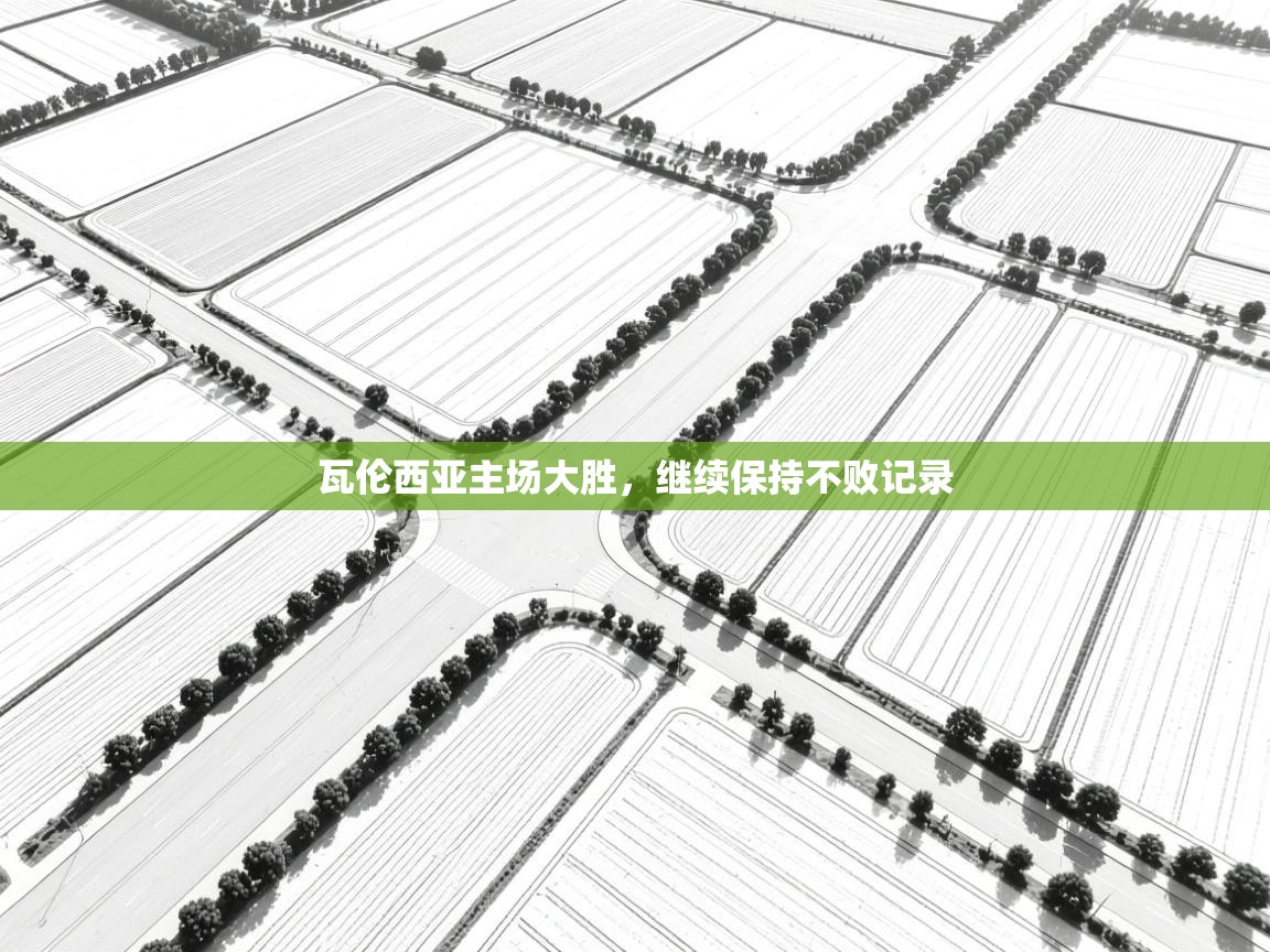 开云体育入口邀请码-瓦伦西亚主场大胜，继续保持不败记录  第4张