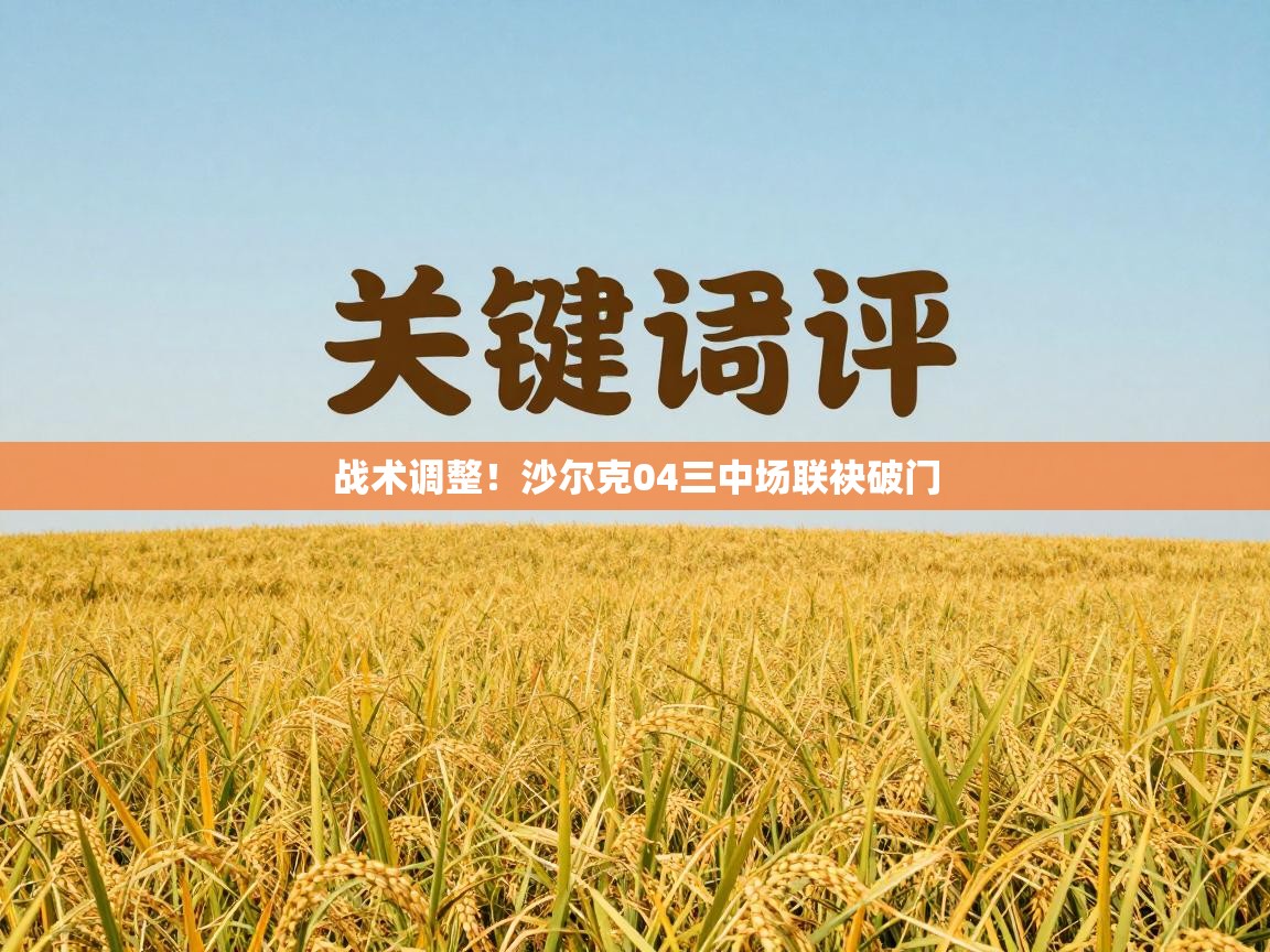 云开官网-战术调整！沙尔克04三中场联袂破门