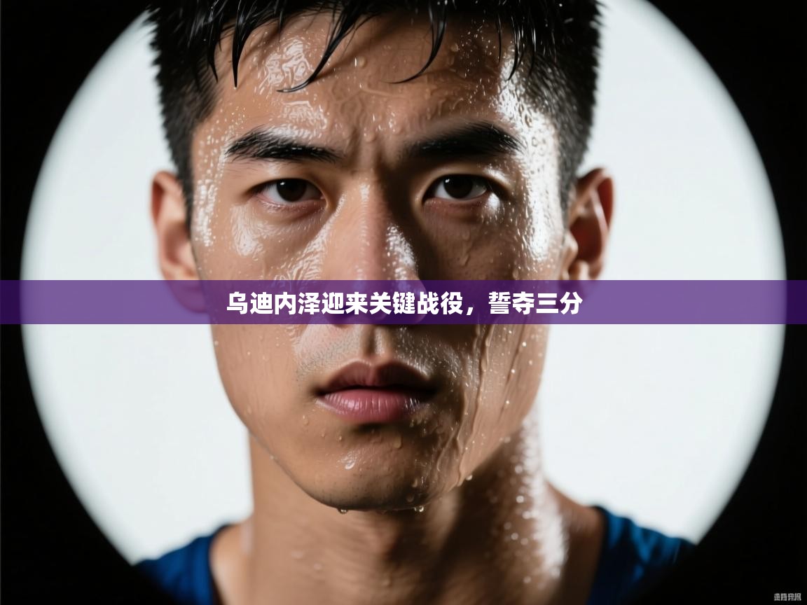 开云体育苹果版下载-乌迪内泽迎来关键战役，誓夺三分  第2张