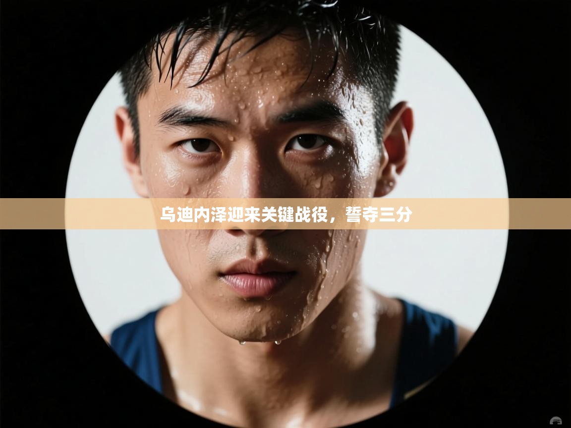 开云体育苹果版下载-乌迪内泽迎来关键战役，誓夺三分  第3张