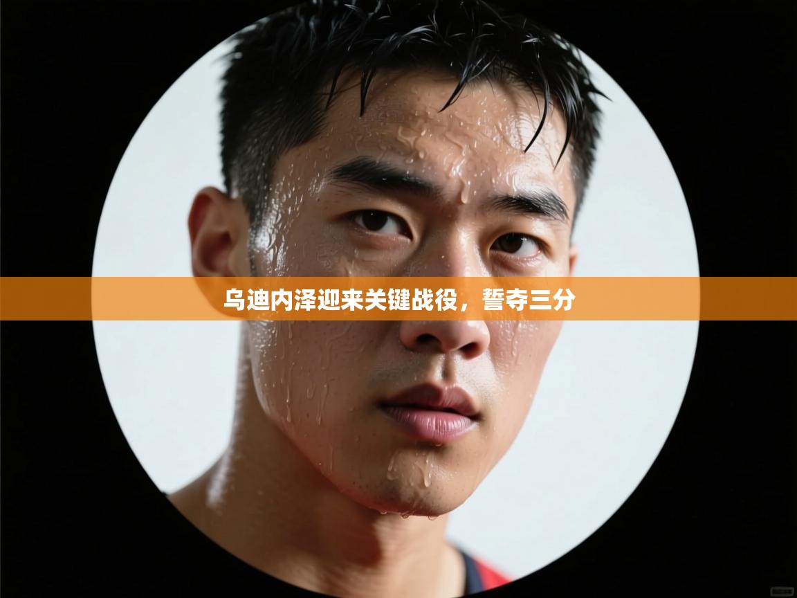 开云体育苹果版下载-乌迪内泽迎来关键战役，誓夺三分  第4张