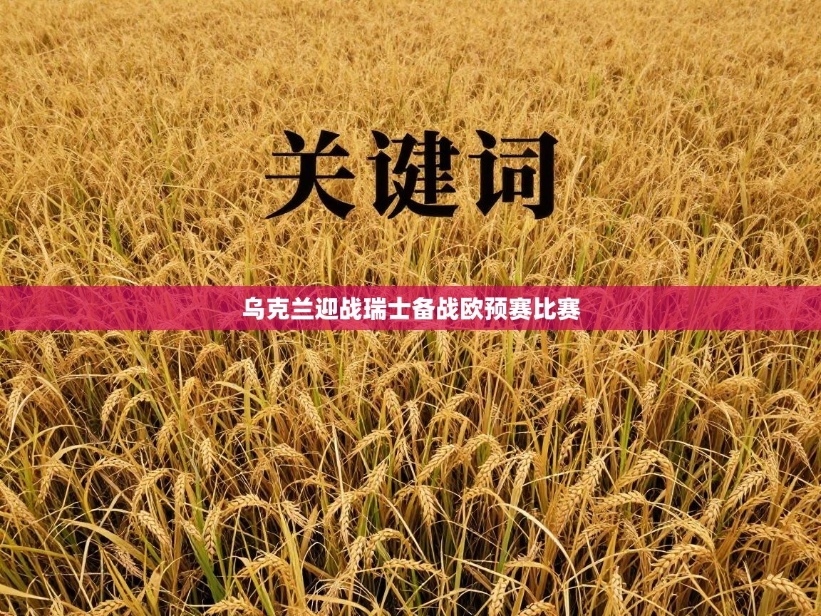 kaiyun体育入口-乌克兰迎战瑞士备战欧预赛比赛  第4张