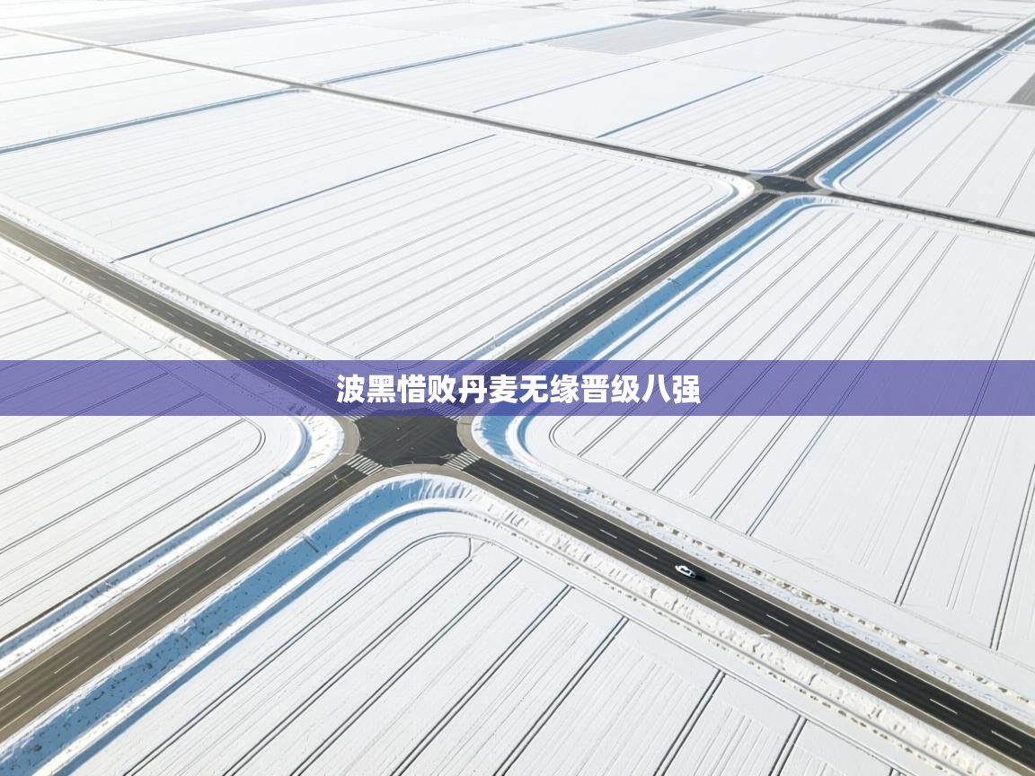 开云体育消息订阅关闭-波黑惜败丹麦无缘晋级八强  第1张