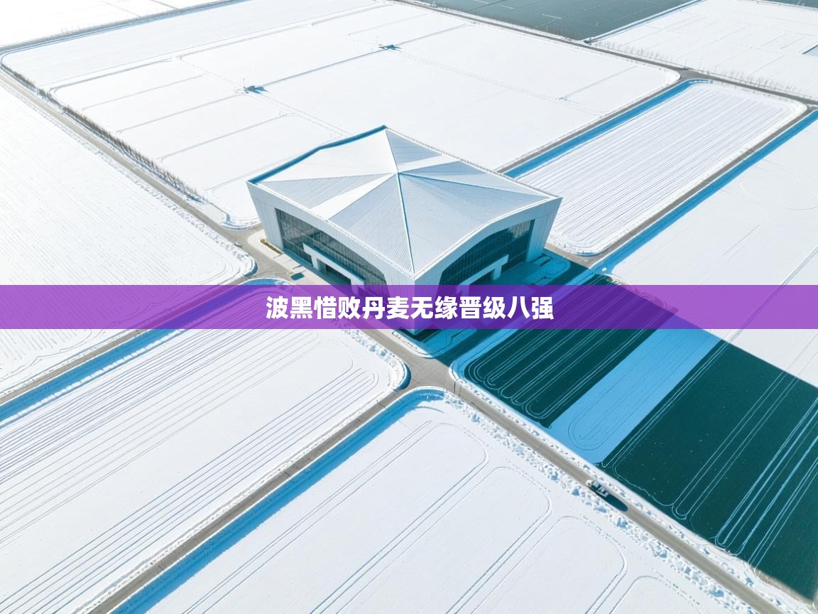 开云体育消息订阅关闭-波黑惜败丹麦无缘晋级八强  第4张