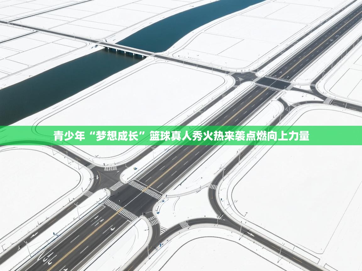 开云kaiyun体育app入口登录官网-青少年“梦想成长”篮球真人秀火热来袭点燃向上力量  第2张